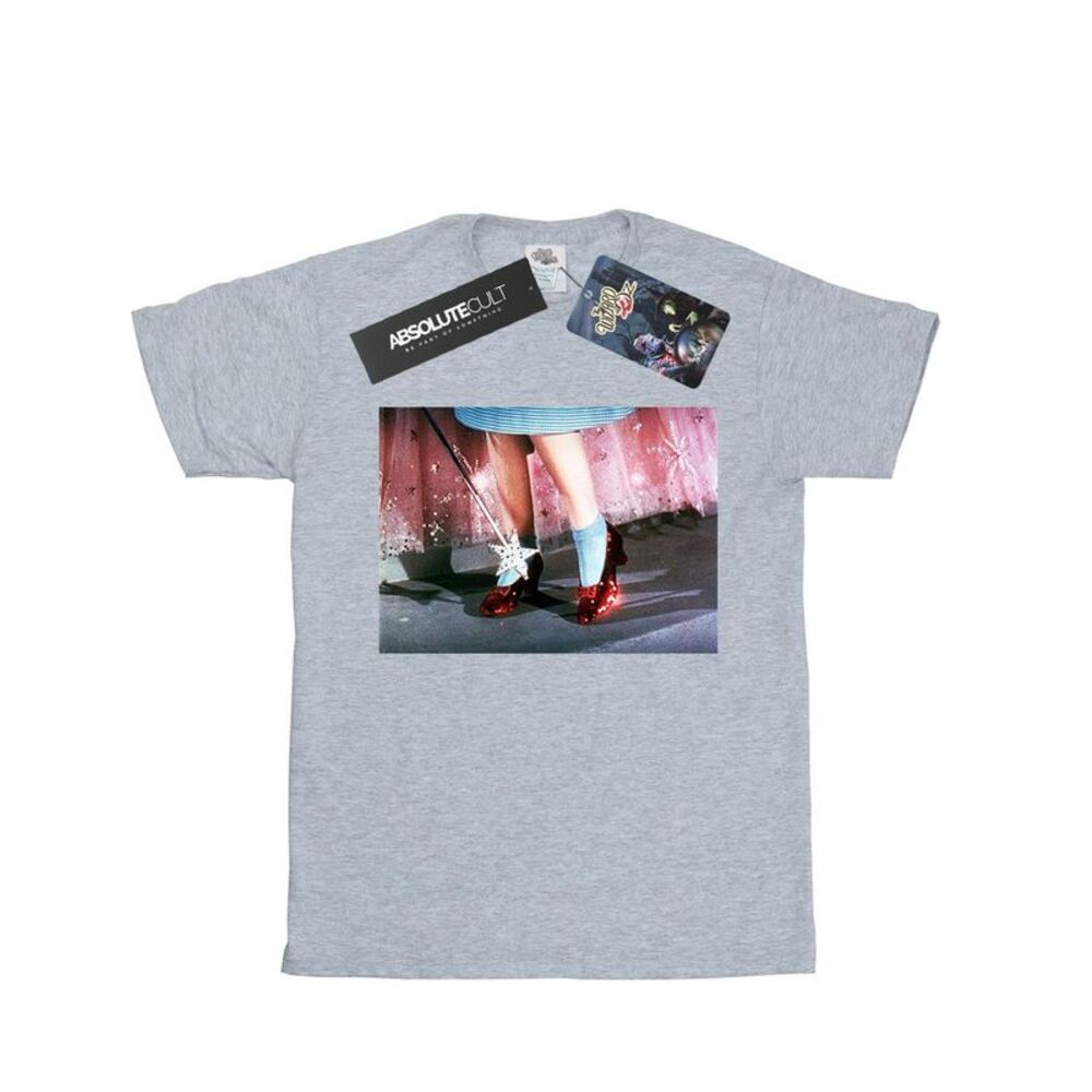 The Wizard Of Oz Mens There�'s No Place Like Home T-Shirt / Sports Grey